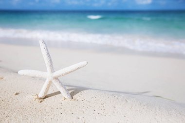 beyaz deniz yıldızı okyanus, beyaz kumsal, gökyüzü ve deniz manzarası