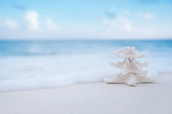 Weiße Seesterne am weißen Sandstrand, mit Meereshimmel und Meereslandschaft — Stockfoto