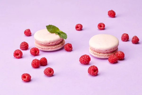 macaroon cookies with raspberries on a purple background.