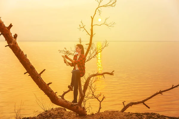 Woman Draws Sitting Tree Sea Sunset — Stock Photo, Image