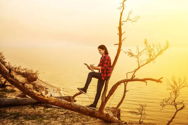 Donna Disegna Seduto Albero Contro Mare Durante Tramonto — Foto Stock