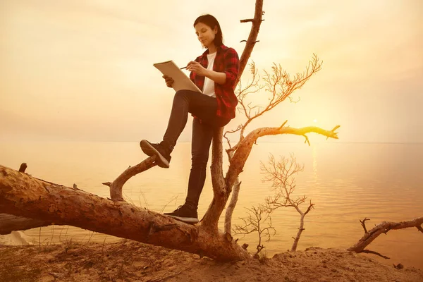 日落时 女人坐在树上 靠着大海画画 — 图库照片