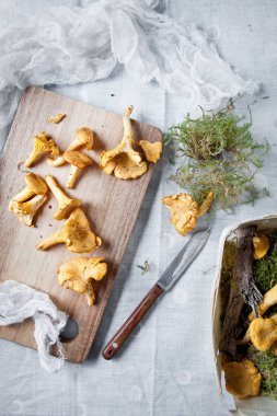 Cantharellus cibarius mantar ahşap kesme tahtası üzerinde