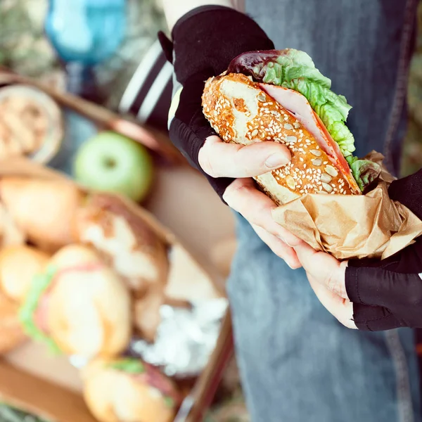 Piknik sandviç tutan adamın elleri, yakın çekim.