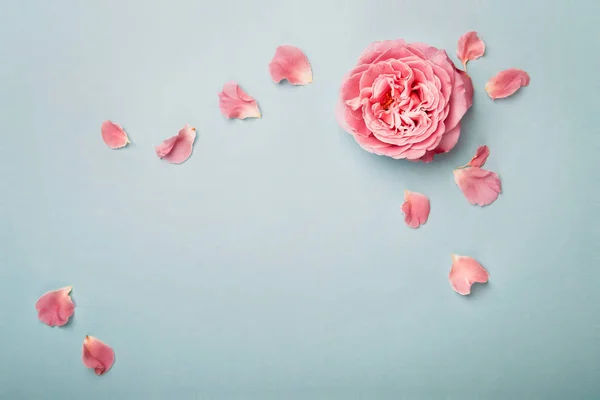 Fundo azul com rosa e pétalas, muito espaço de cópia — Fotografia de Stock