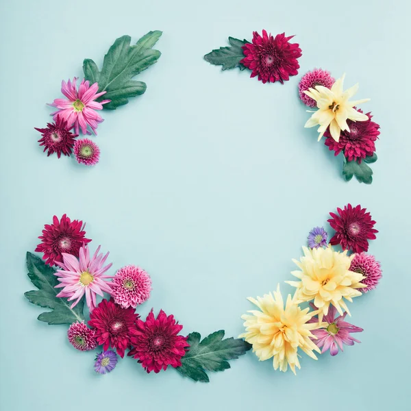 Circle frame of autumn flowers - chrysanthemum and asters, on blu