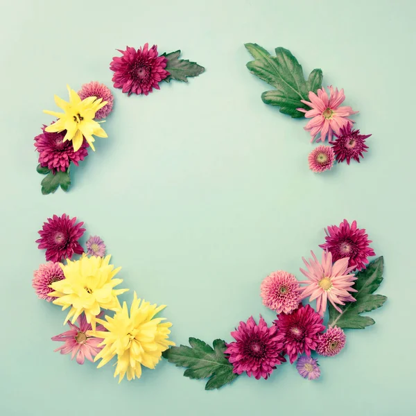 Rama koło jesienne kwiaty - chryzantemy i Astry — Zdjęcie stockowe