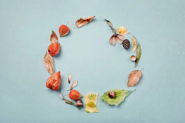 Cadre rond composé de diverses feuilles d'automne naturelles, Physalis et — Photo