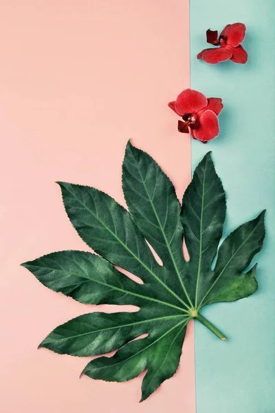 Rosa Hintergrund mit Orchideen und exotischen Blättern, viele Kopien — Stockfoto