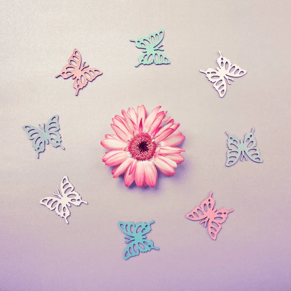 Butterfies découpes disposées en cercle autour d'une fleur, flatlay sur gris, avec copyspace — Photo