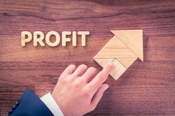 Increase profit concept — Stock Photo, Image