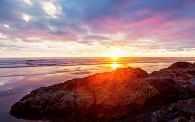 Kosta Rika Vahşi Yaşam Doğa Hayvanları