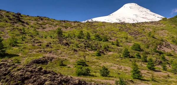 Doğa Yeşil Yaz Dağları Okyanus