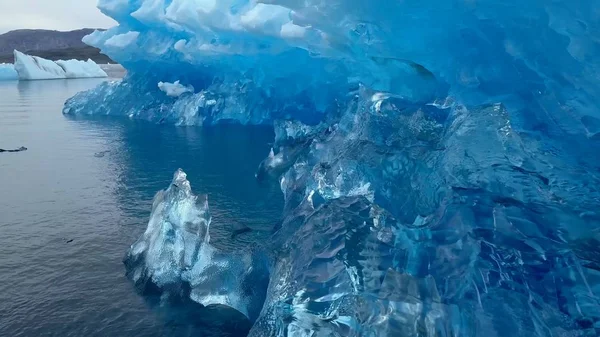 그린란드 빙산가해 양의 눈을 여행하다 — 스톡 사진