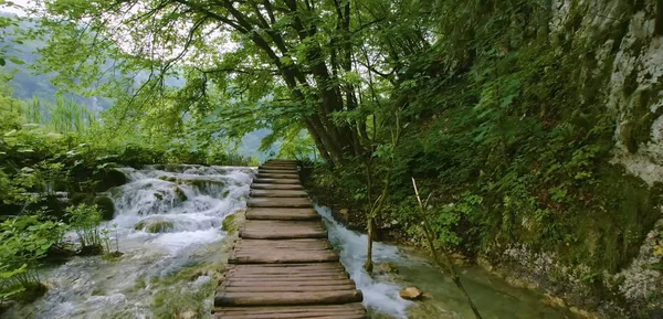Hırvatistan Doğa Okyanusu Göl Gökyüzü