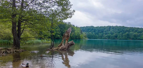 Croacia Naturaleza Océano Lago Cielo — Foto de Stock