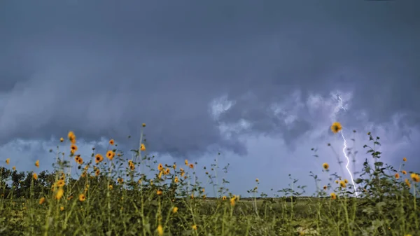 Grande tempestade iluminação céu fundo — Fotografia de Stock