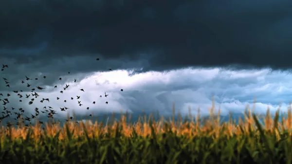 Grande tempestade iluminação céu fundo — Fotografia de Stock