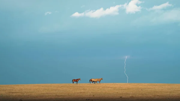 Grande tempestade iluminação céu fundo — Fotografia de Stock