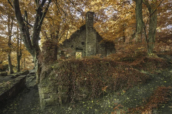 Spooky viejo edificio abandonado en ruinas grueso bosque de otoño landsca — Foto de Stock