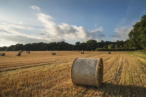 美丽的乡村景观意象的干草捆在夏天国际剑联 — 图库照片