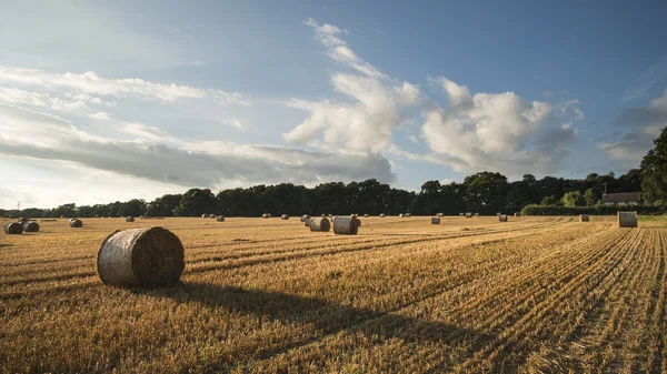 Hermosa imagen del paisaje rural de fardos de heno en verano fie —  Fotos de Stock