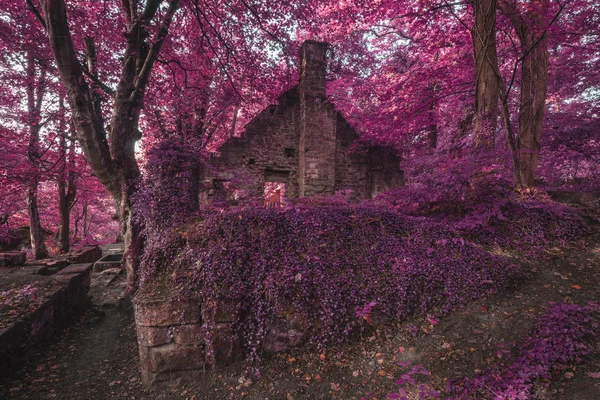 Edificio abandonado en ruinas espeluznante viejo en tierra de bosque surrealista grueso —  Fotos de Stock