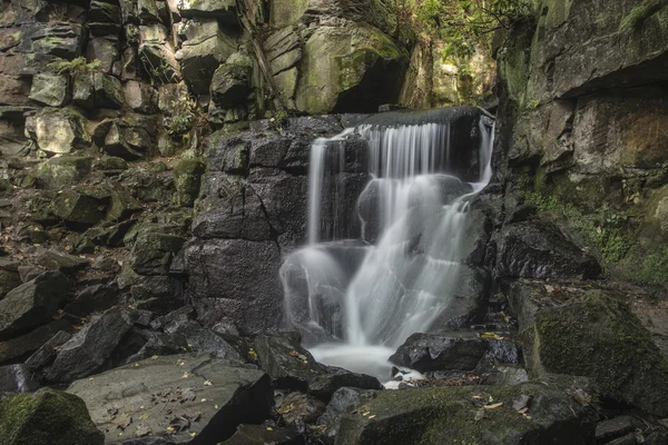 Bella cascata nel paesaggio forestale lunga esposizione che scorre th — Foto Stock