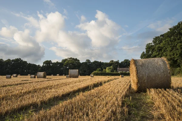 Красиве сільське пейзажне зображення тюків сіна в літній час — стокове фото