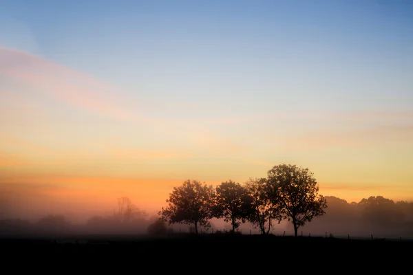 Impresionante vibrante otoño nebuloso amanecer Inglés campo landsc — Foto de Stock