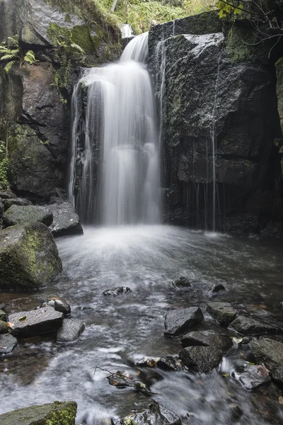 Vackra vattenfall i skogen liggande lång exponering flödar th — Stockfoto