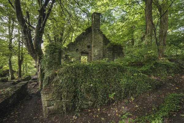Edificio abandonado en ruinas espeluznante viejo en el paisaje del bosque grueso — Foto de Stock