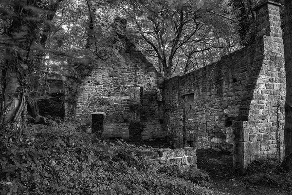 Spooky old ruined derelict building in thick forest landscape in — Stock Photo, Image