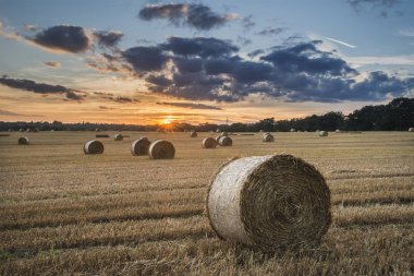 Beautiful countryside landscape image of hay bales in Summer fie clipart