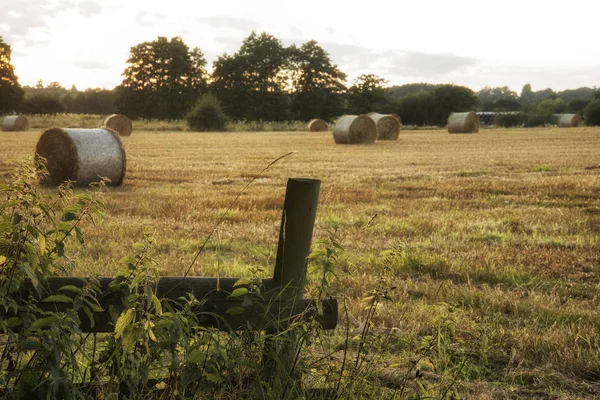 Hermosa imagen del paisaje rural de fardos de heno en verano fie —  Fotos de Stock