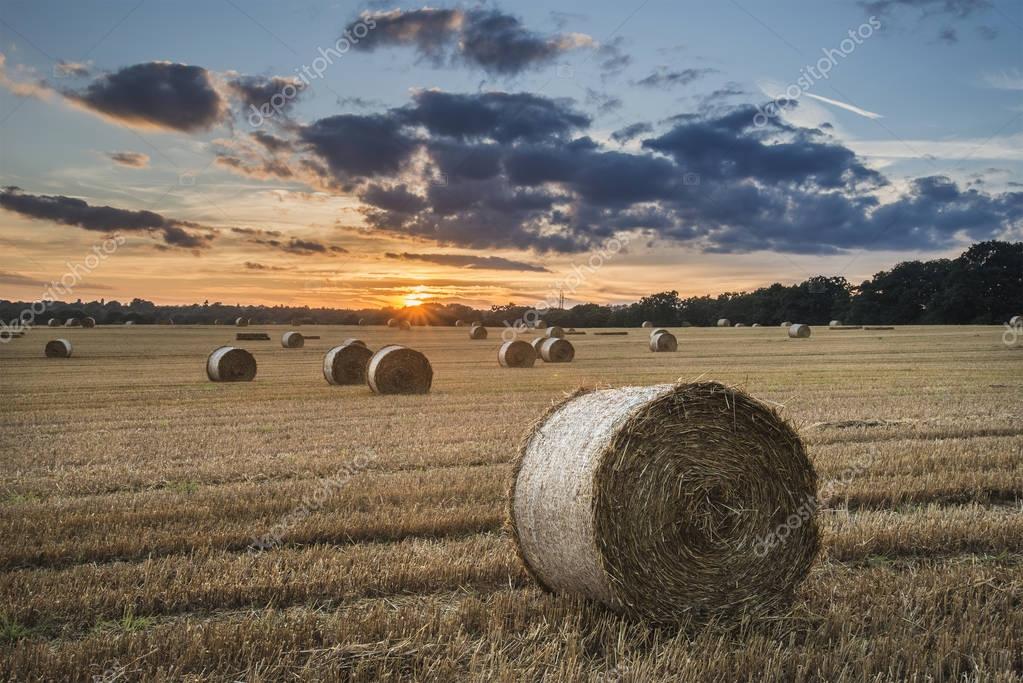 ROUND PRAIRIE