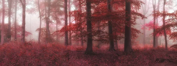 Prachtige surrealistische afwisselende kleur fantasie Autumn Fall forest lan — Stockfoto