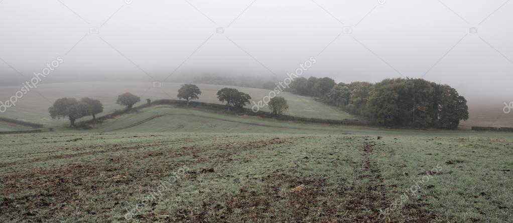 Foggy misty Autumn morning landscape in British countryside