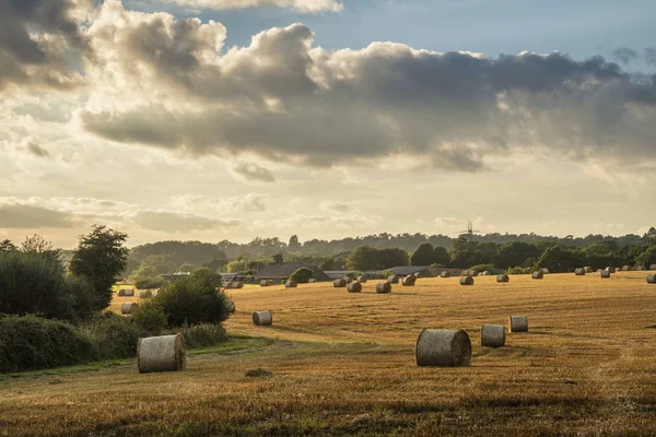 Beautiful countryside landscape image of hay bales in Summer fie — Stock Photo, Image