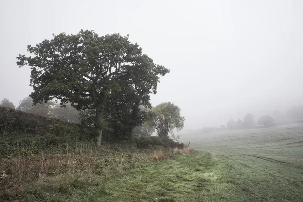 Sisli puslu sonbahar sabah İngiliz kırsalında manzara — Stok fotoğraf