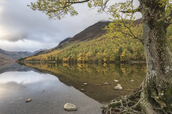 Schöne Herbst Herbst Landschaft Bild des Sees Schmetterling im See — Stockfoto