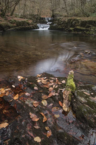 Vackra vattenfall landskapet bilden i skogen under hösten hösten — Stockfoto