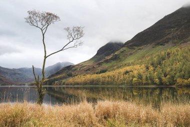 Lake Buttermere göl güzel sonbahar sonbahar manzara görüntüsü