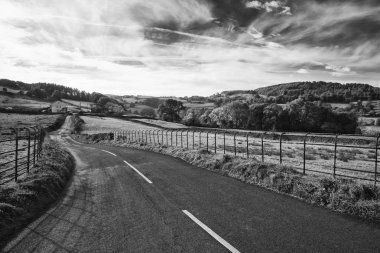 Geniş cou çarpıcı sonbahar sonbahar siyah beyaz manzara görüntü