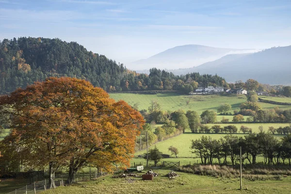 Hermosa Otoño Otoño amanecer niebla paisaje imagen sobre el país —  Fotos de Stock