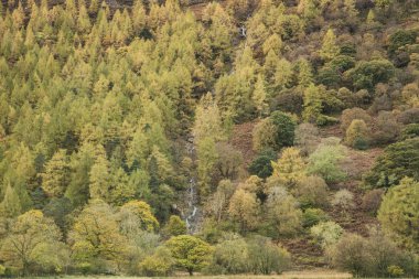 Lake Buttermere göl güzel sonbahar sonbahar manzara görüntüsü