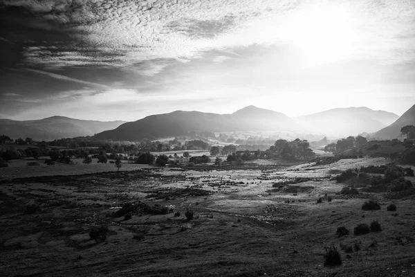 Hermoso negro y blanco Otoño Otoño amanecer niebla paisaje im — Foto de Stock