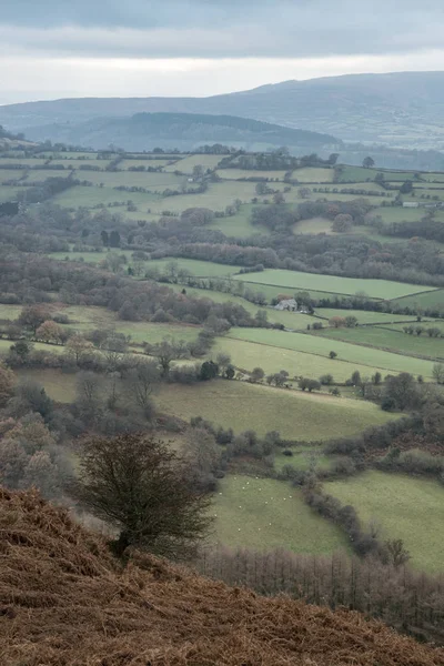 Prachtig landschap foto van verlaten steengroeve overgenomen door natur — Stockfoto