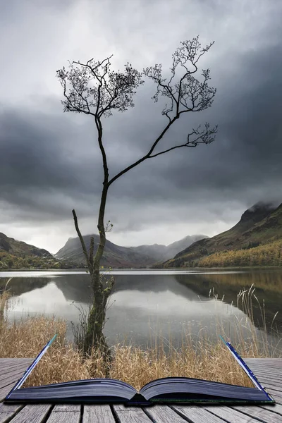 Schöne Herbst Herbst Landschaft Bild des Sees Schmetterling im See — Stockfoto