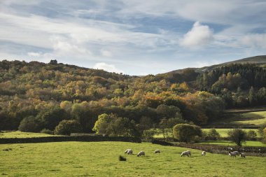 Geniş kırsal kesimde göl çarpıcı sonbahar sonbahar manzara görüntü